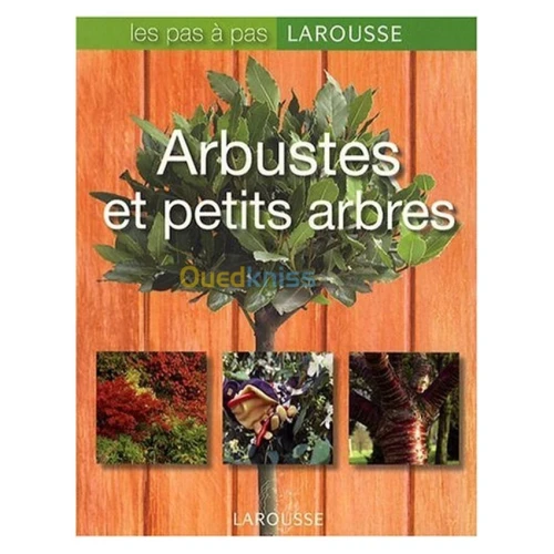 Arbustes et petits arbres