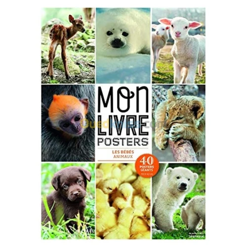 Bébés animaux. collection mon livre post