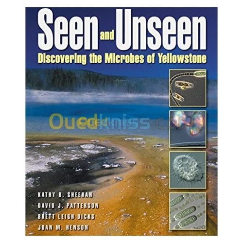 Seen and Unseen: Discovering The Microbes of Yellowstone