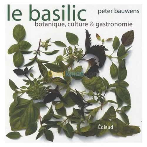 Le basilic - Botanique, culture & gastronomie