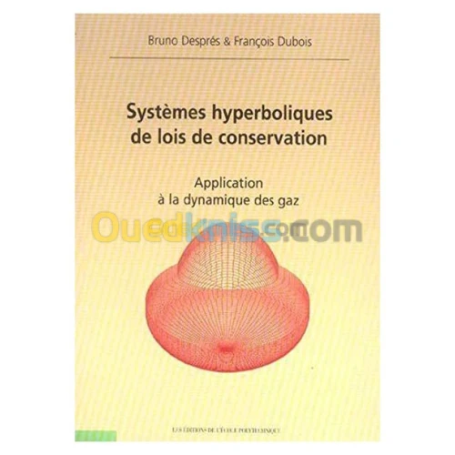 Systemes Hyperboliques De Lois De Conservation Application A La Dynamique Des Gaz