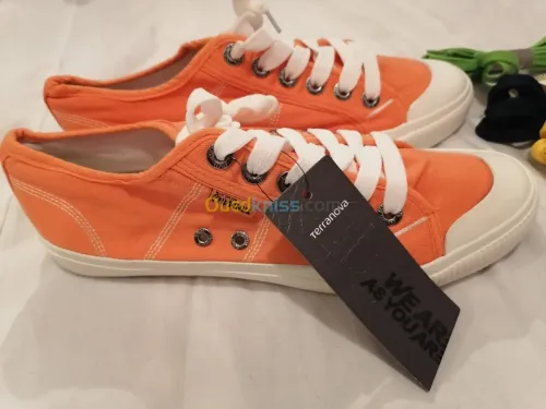 Convers marque terranova 