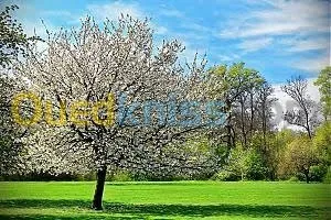 Paysagiste