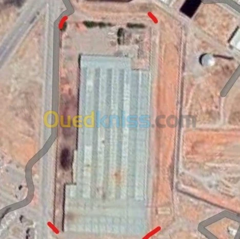 Vente Terrain Setif Setif