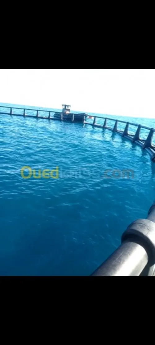 Réalisation des cage élevage sur mer