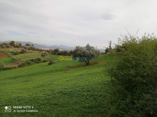 Vente Terrain Bejaia El kseur