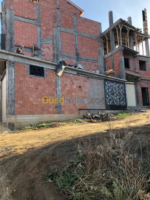 Vente Terrain Blida Blida