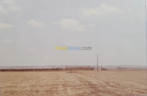 Vente Terrain Oran Oued tlelat
