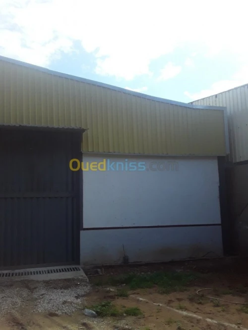 Location Hangar Alger Bordj el kiffan