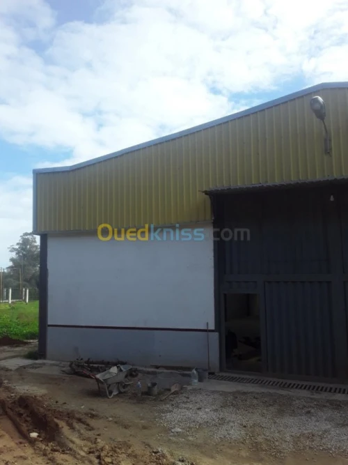 Location Hangar Alger Bordj el kiffan