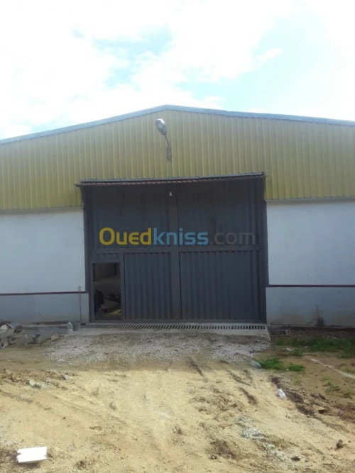 Location Hangar Alger Bordj el kiffan