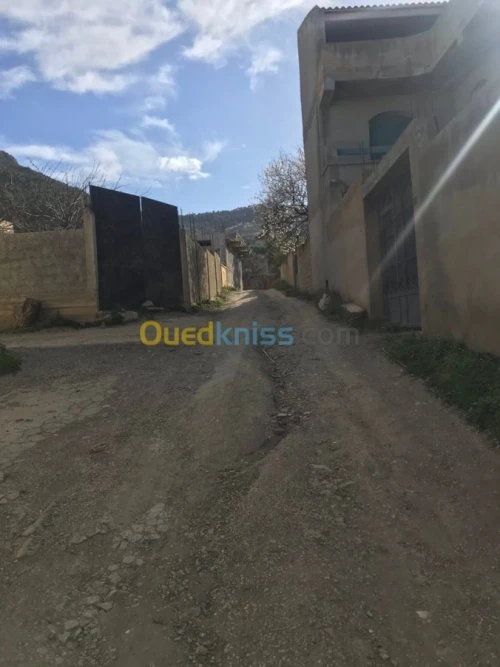 Vente Villa Tipaza Larhat
