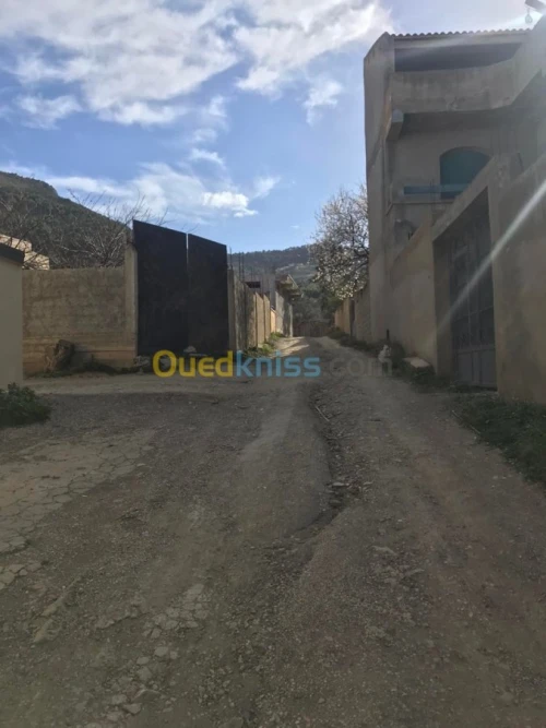 Vente Villa Tipaza Larhat
