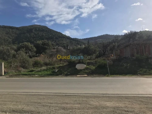 Vente Villa Tipaza Larhat
