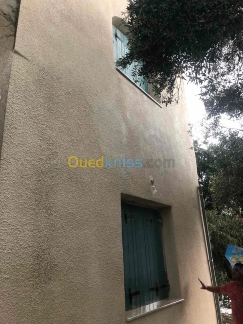 Vente Villa Tipaza Larhat