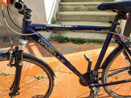 Velo gazelle