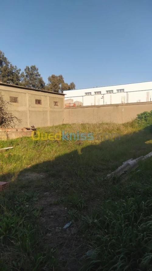 Location Terrain Boumerdes Boudouaou