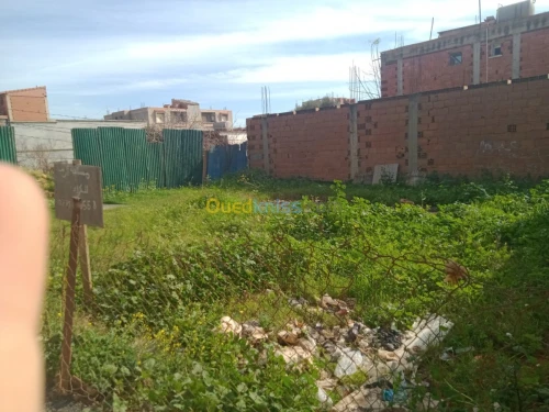 Location Terrain Alger Douera