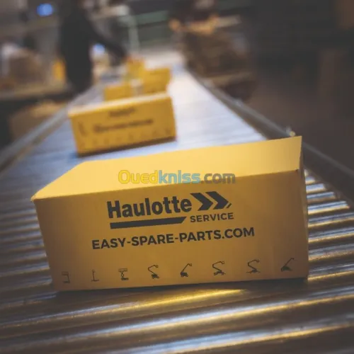 SERVICE APRES VENTE HAULOTTE