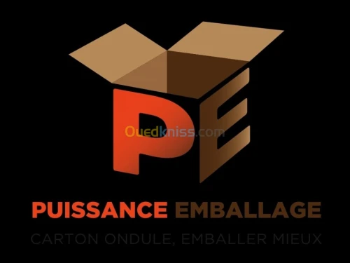 Carton d'emballage 