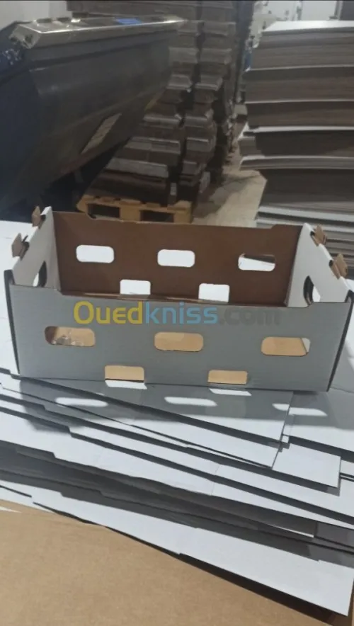 Carton d'emballage 