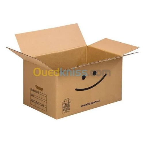 Carton d'emballage 