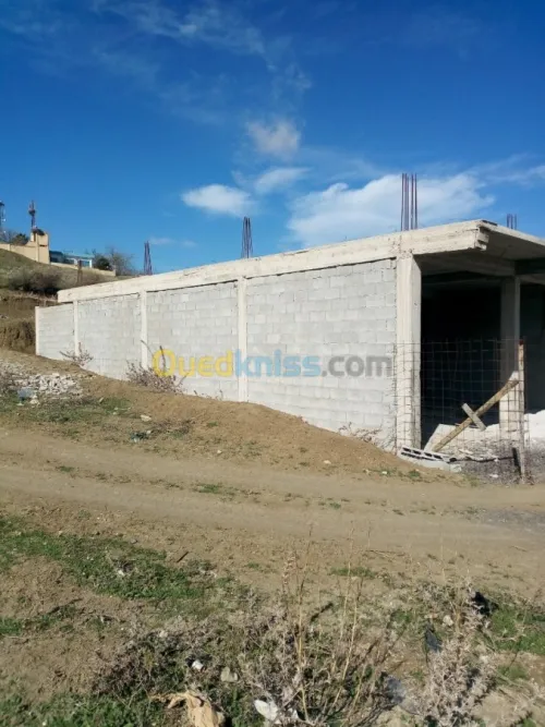 Vente Carcasse Constantine El khroub