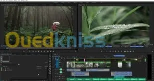 montage de vidéo professionnel