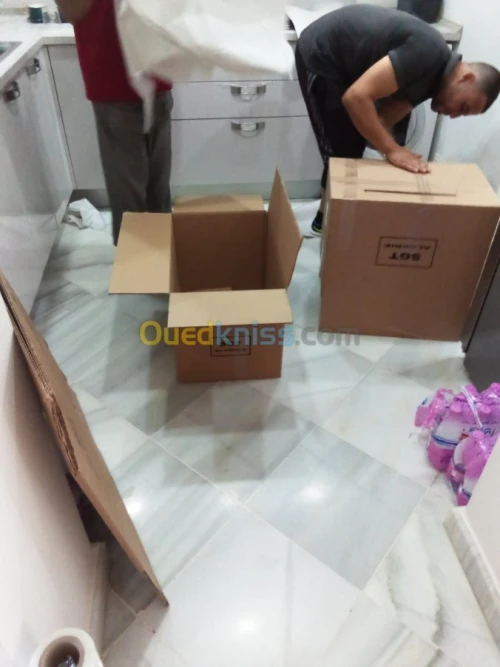 DÉMÉNAGEMENT TRANSPORT (7/7J)B