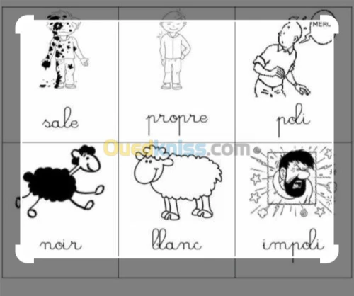 Cours particuliers de français 
