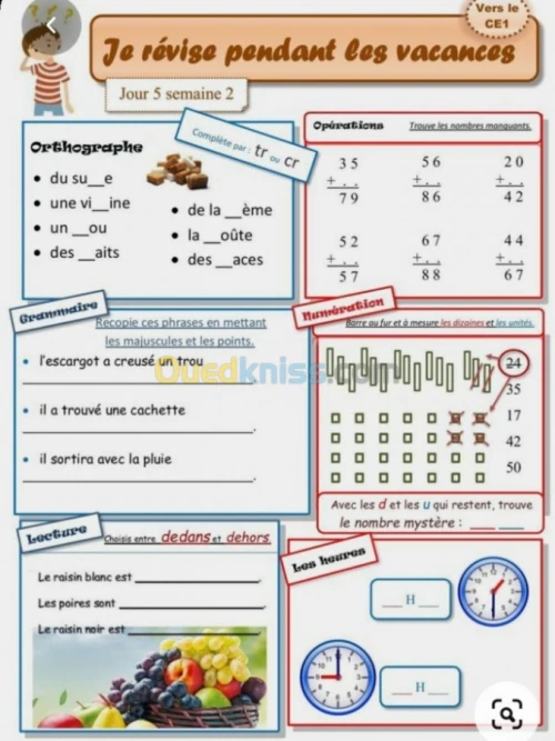 Cours particuliers de français 