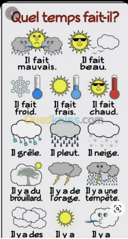 Cours particuliers de français 