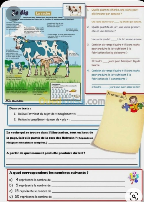 Cours particuliers de français 