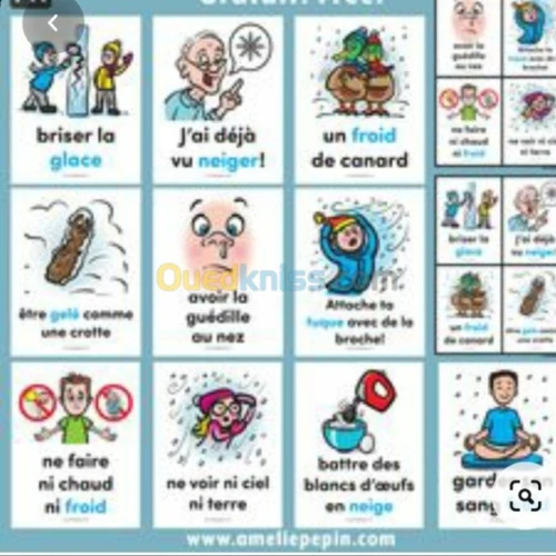 Cours particuliers de français 