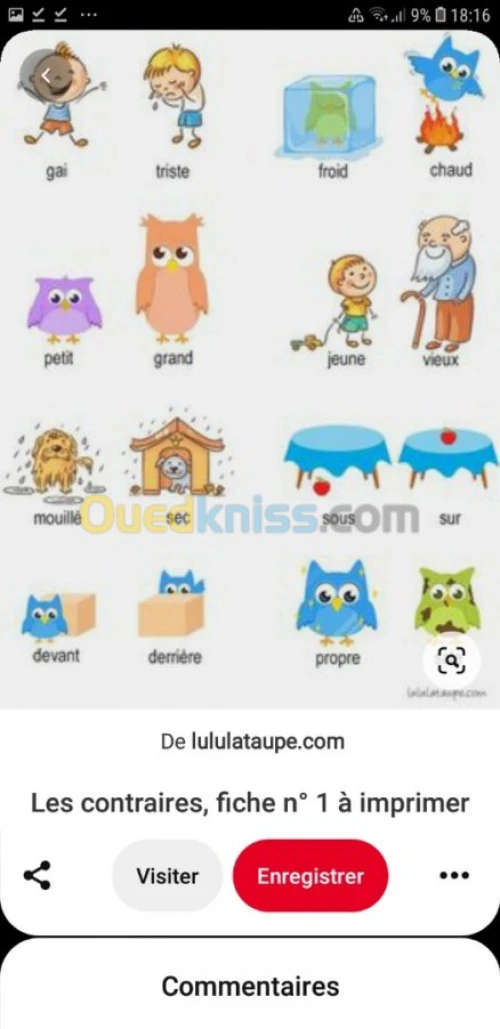 Cours particuliers de français 