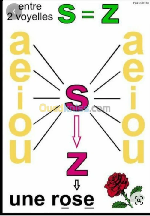Cours particuliers de français 