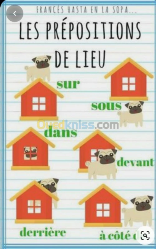 Cours particuliers de français 