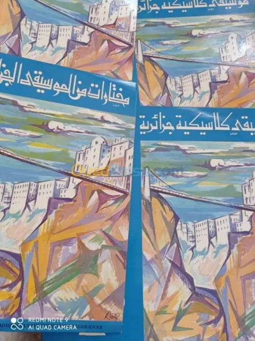 DES  COFFRET DEDISQUES VINYLE 33 TOURS