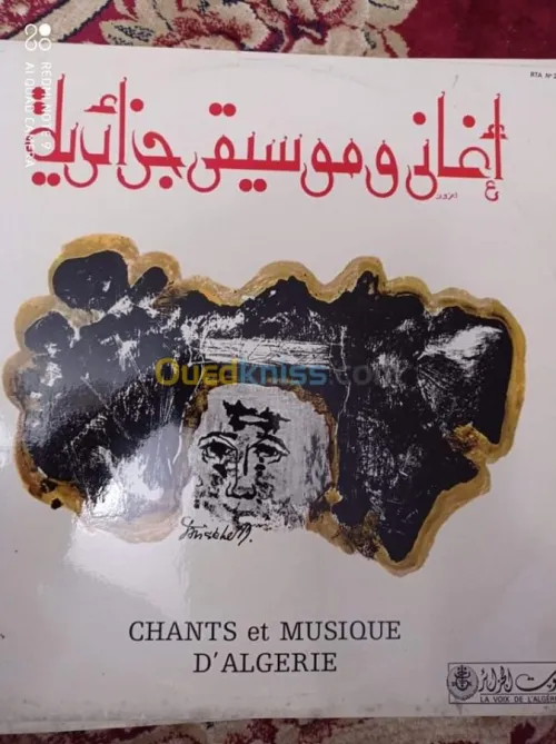 DES DISQUES VINYLES 33 TOURS