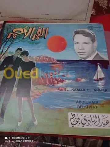 DES DISQUES VINYLES 33 TOURS