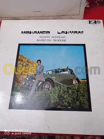 DES DISQUES VINYLES 33 TOURS