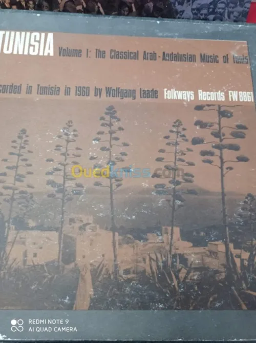 DES DISQUES VINYLES 33 TOURS