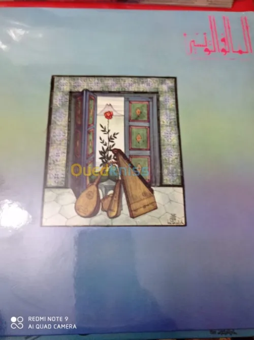 DES DISQUES VINYLES 33 TOURS