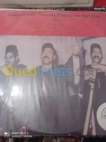 DES DISQUES VINYLES 33 TOURS