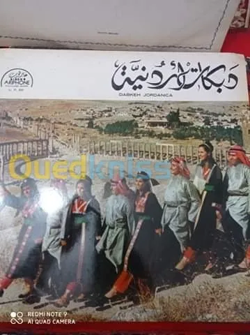 DES DISQUES VINYLES 33 TOURS