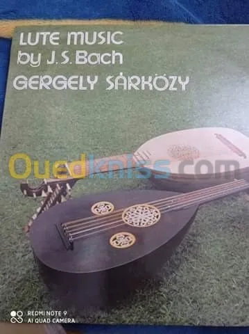 DES DISQUES VINYLES 33 TOURS