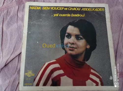 DES DISQUES VINYLES 33 TOURS