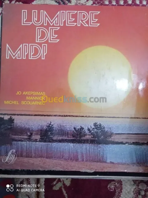 DES DISQUES 33 TOURS VARIETE FRANCAIS