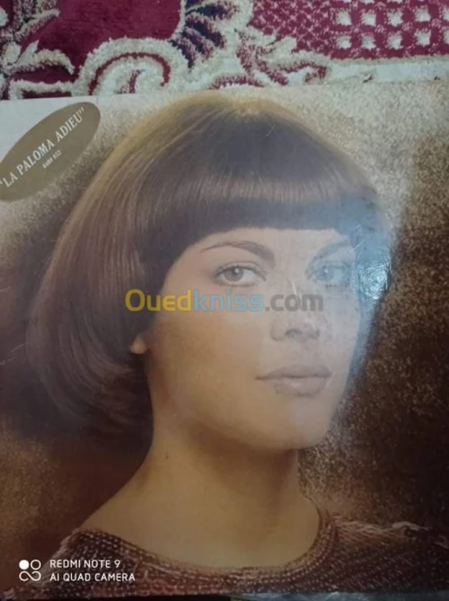 DES DISQUES 33 TOURS VARIETE FRANCAIS