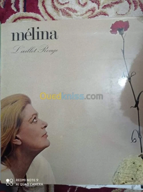 DES DISQUES 33 TOURS VARIETE FRANCAIS